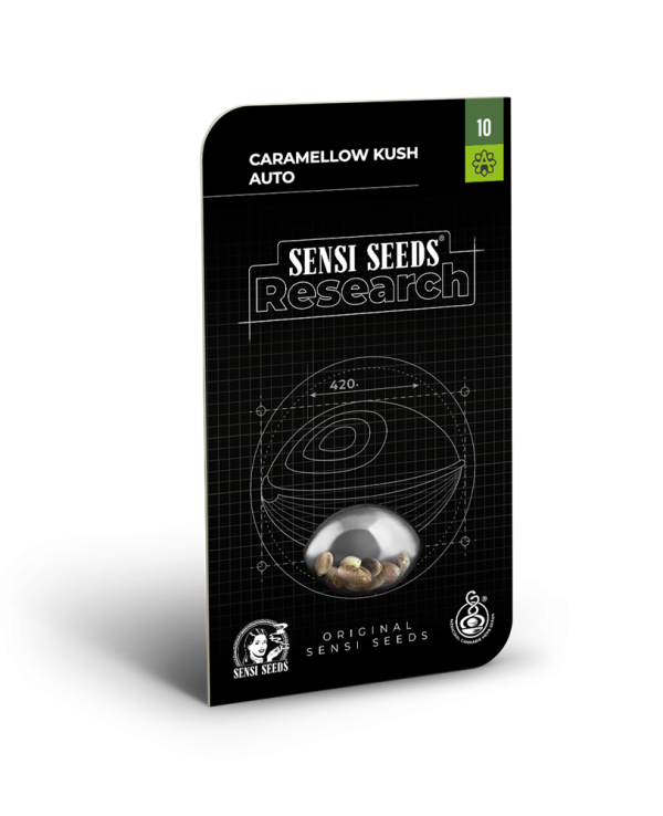 Caramellow kush auto (5)  sensi seeds