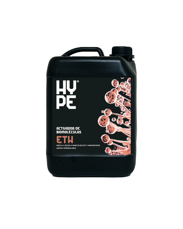 Eth 5 L