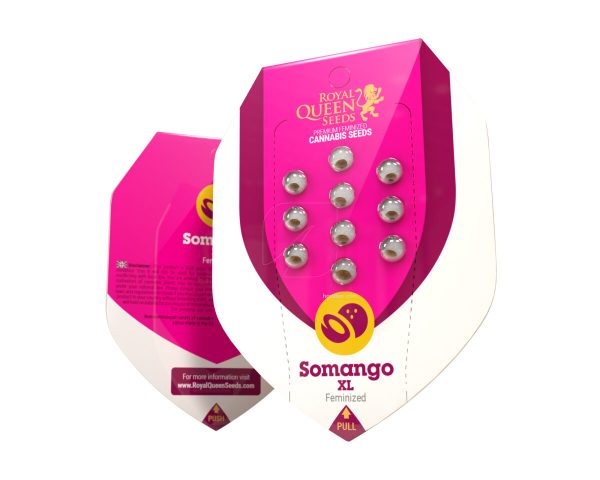 Somango XL 1
