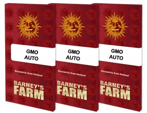 Gmo auto (1) barney's farm seeds