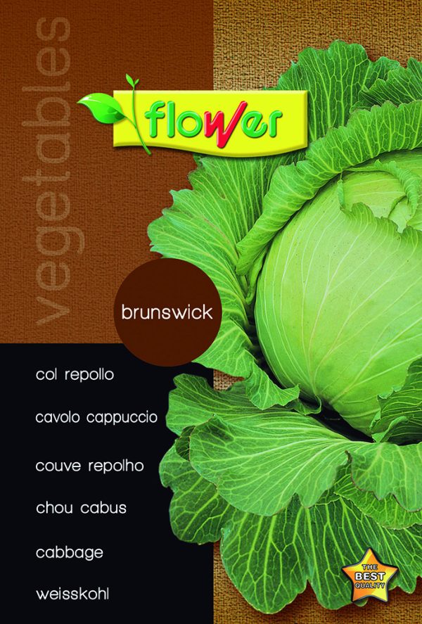 Brunswick cabbage