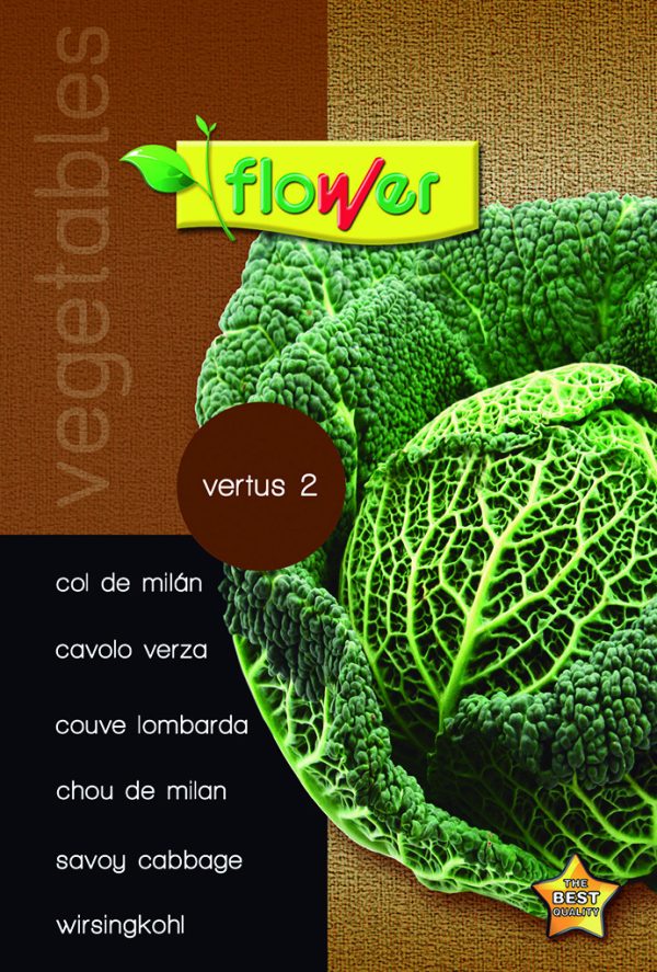 Milanese cabbage Vertus 2