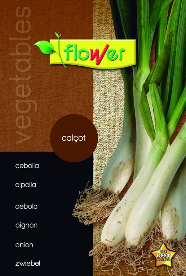Onion calçot