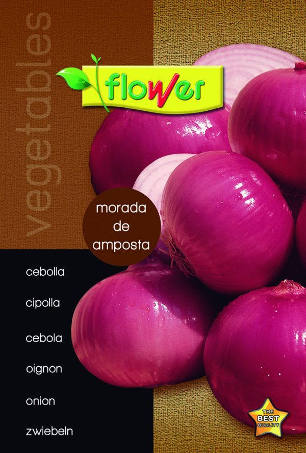 Amposta purple onion