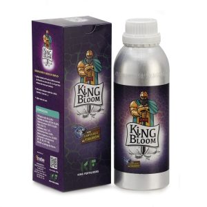 King bloom 5'5L Trabe