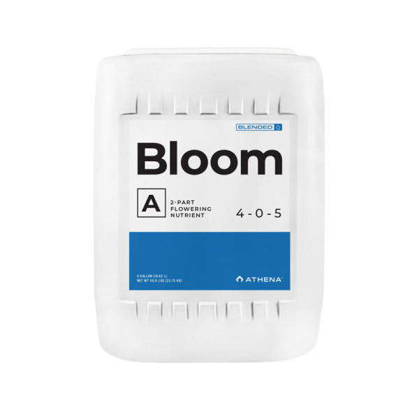 Bloom A 0.94 l - Imagen 2