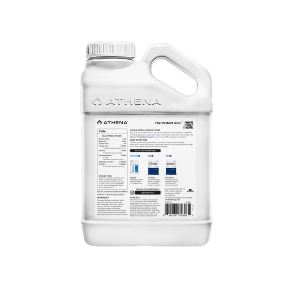 Fade 1 L Athena - Image 2