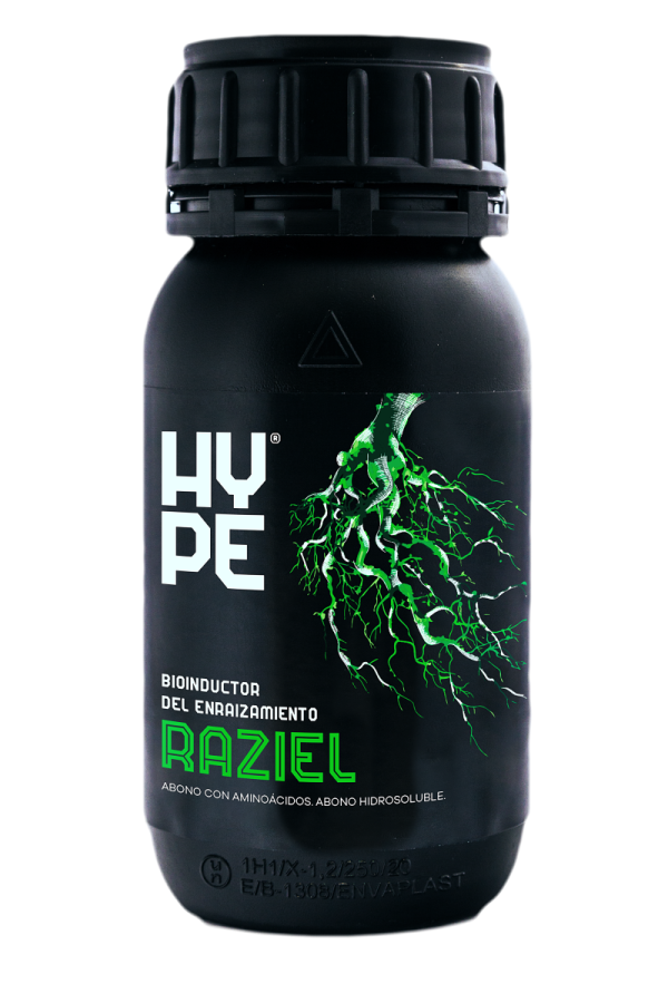 Raziel 100 g the hype company