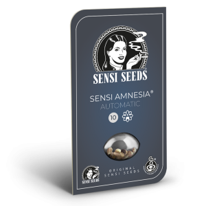 Sensi amnesia auto (10) sensi seeds