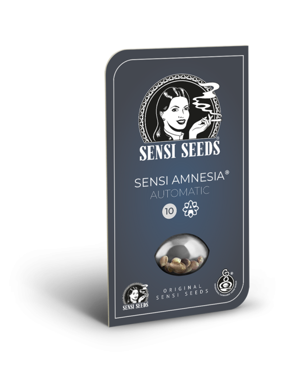 Sensi amnesia auto (10) sensi seeds