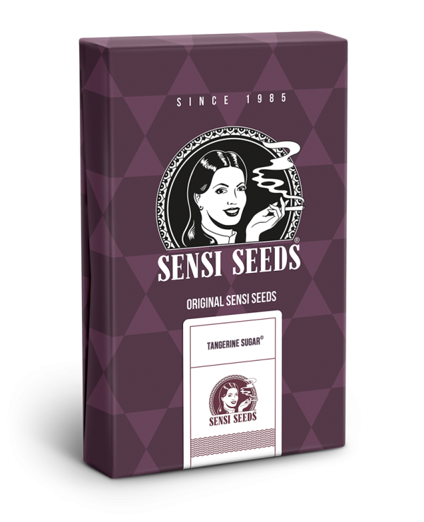 Tngerine sugar  (10) 100% Sensi Seeds