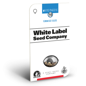 White cheese (10) 100% Sensi Seeds