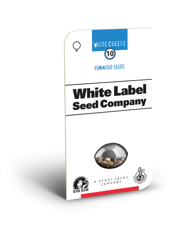 White cheese (10) 100% Sensi Seeds
