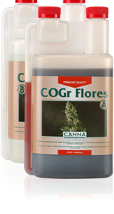 Cogr flores B 5 L Canna