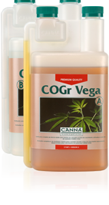 Cogr vega B 5 L Canna