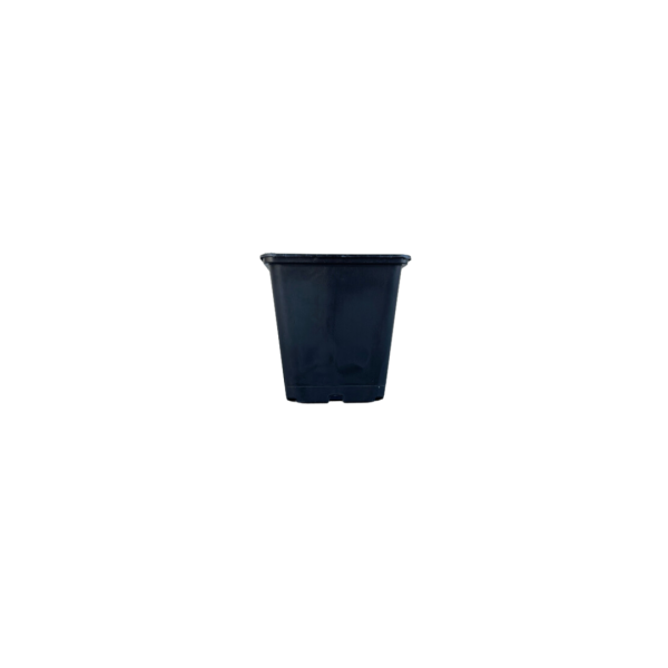 Maceta cuadrada negra ECO (13 x 13 x 13 cm) 1 L (100 uds)