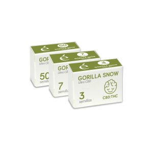 Gorilla snow ultra cbd (3) 100% premium line elite seeds