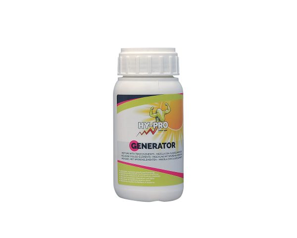 Generator 5 l - Image 4