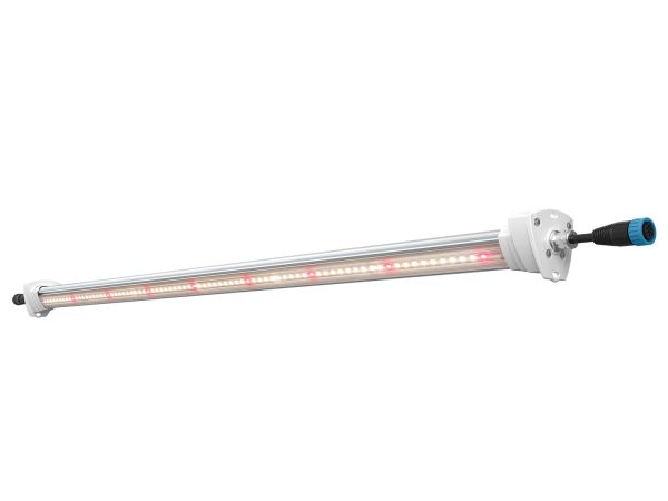 Inter Canopy LED - Imagen 3