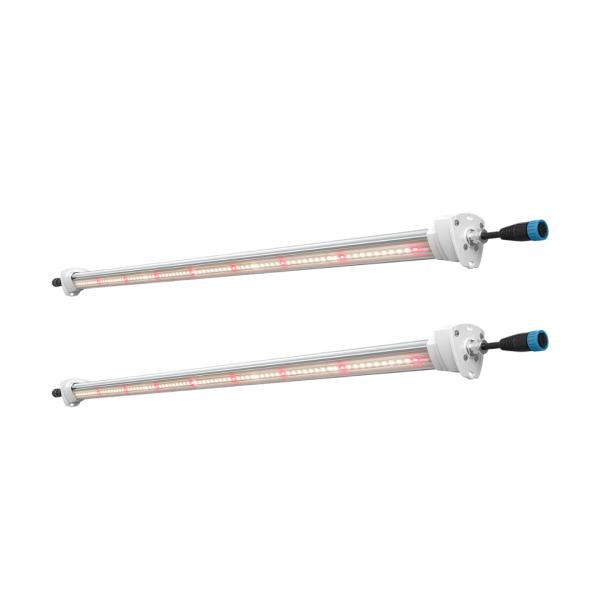 Inter Canopy LED - Imagen 2