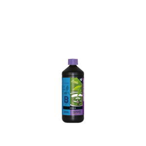 Hydro  B 10 L Atami