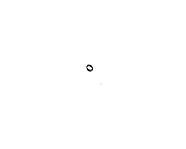D20 O-ring