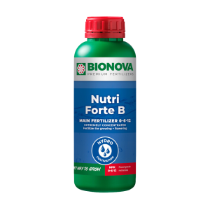 Nutri Forte B 5 L Bionova