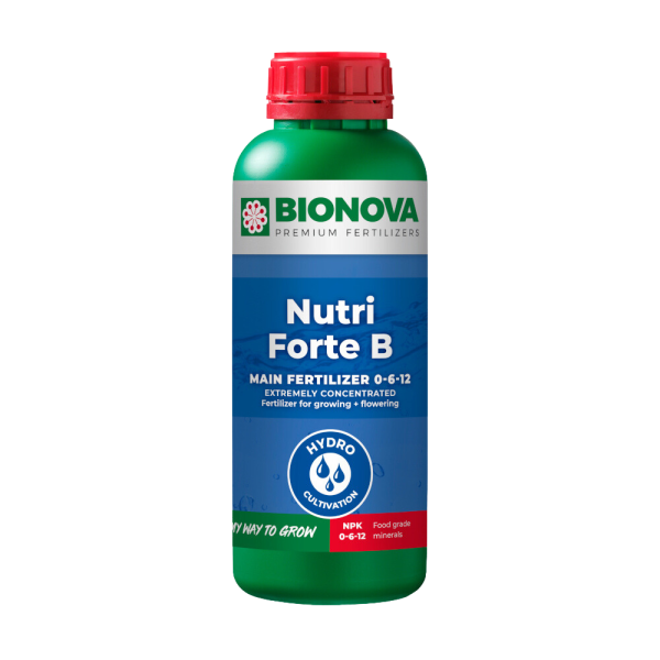 Nutri Forte B 5 L Bionova