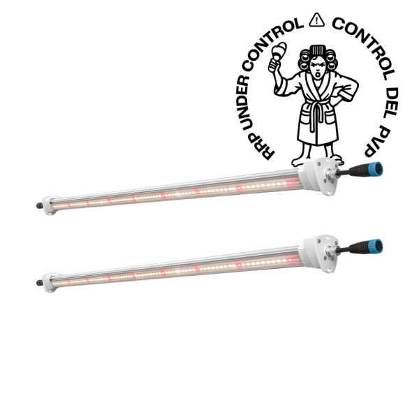 Inter Canopy LED