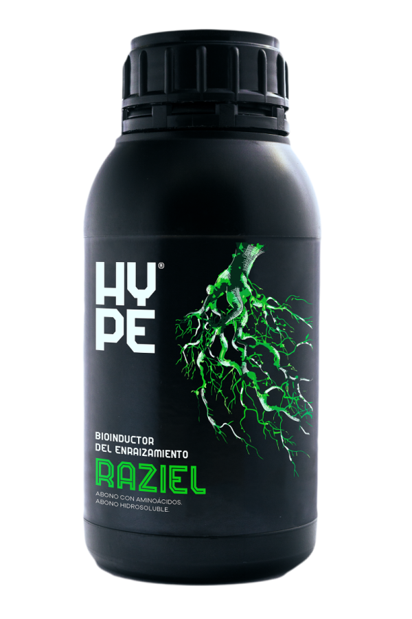 Raziel 200 g The hype Company - Image 2