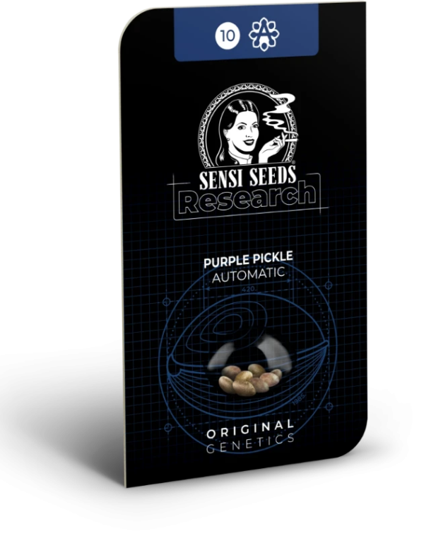 Purple pickle (10) auto sensi seeds