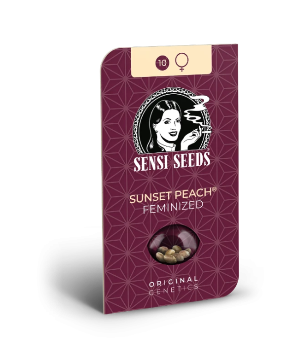 Sunset peach (5) Sensi Seeds