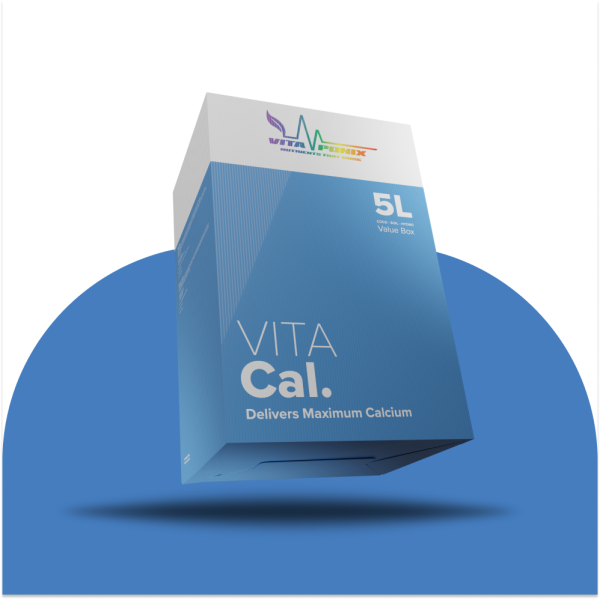 Vitacal 5 L vitaponix