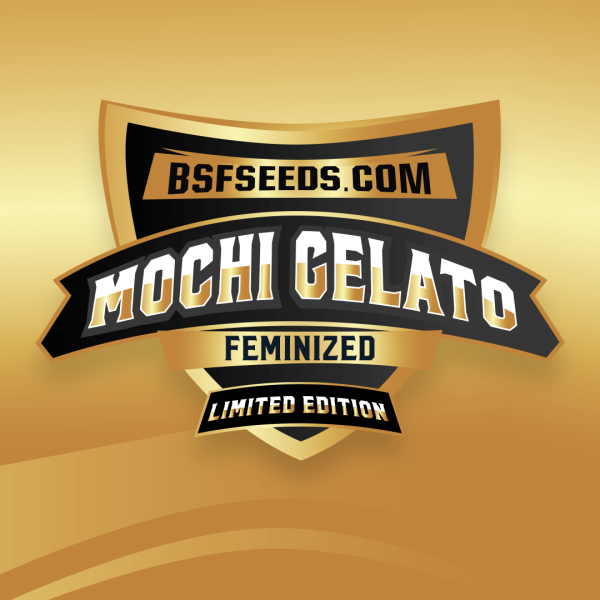 Gelato mochi *le - x12