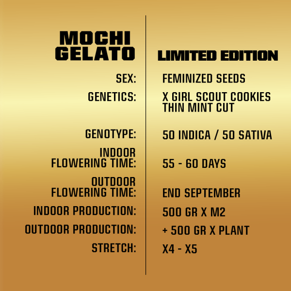 Gelato mochi *le - x12 - Image 3