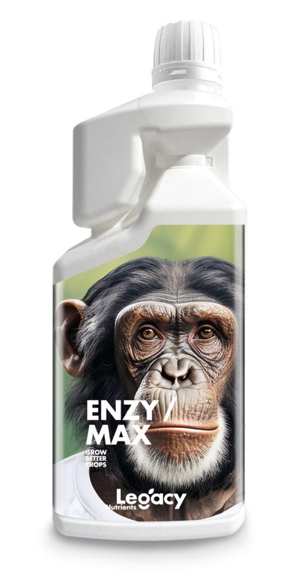 Enzymax 5 L Legacy