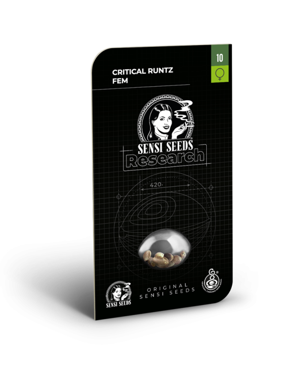Critical runtz (3) 100% Sensi Seeds