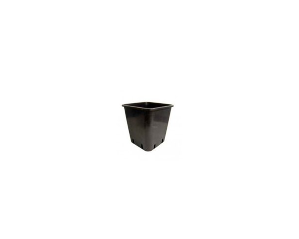 Wilma pot 11 x 11 cm 1.65 L - Image 2