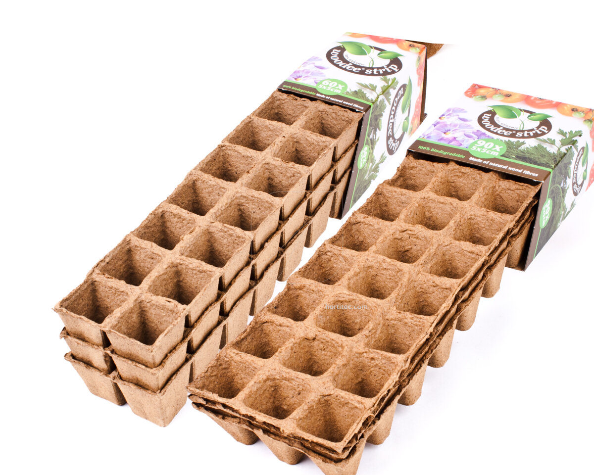 Woodee Strip (5 x 5 cm) (90 uds) HGA