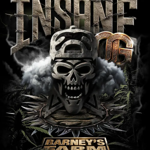 Insane OG (5) Barney's Farm