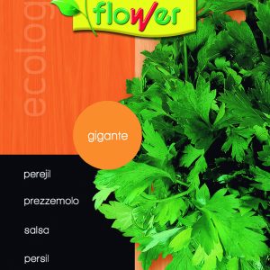 Perejil gigante de Italia