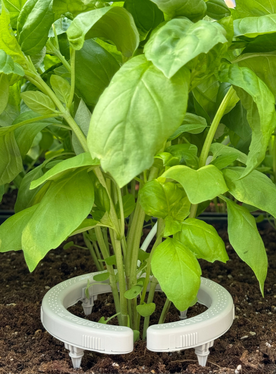 Gotero hortipro 1,2 l/h Water Master - Image 3