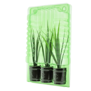 Funda de transporte para 3 esquejes Ø38 x 50 mm – Altura 18 cm (1 ud.)