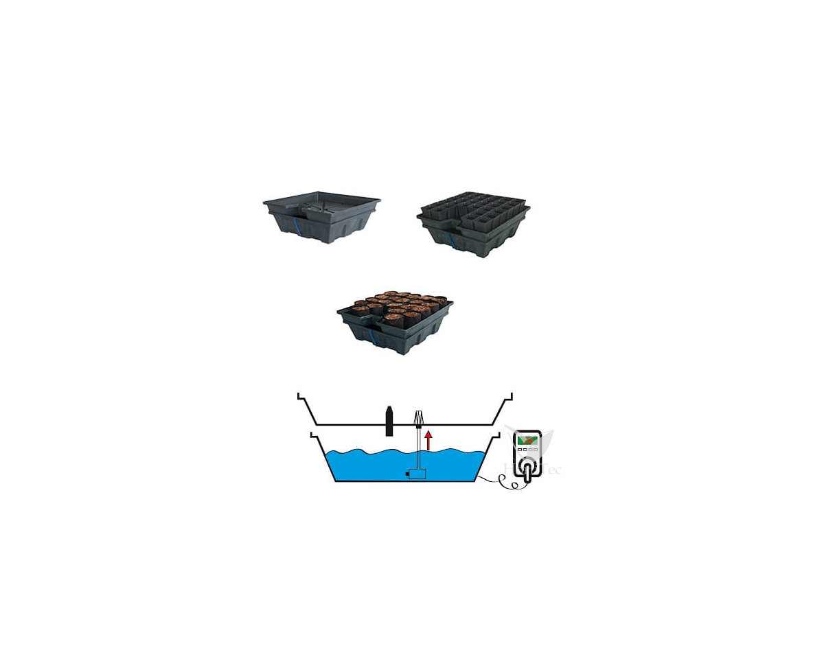 Refeições Ebb & Grow®