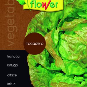Lechuga Trocadero