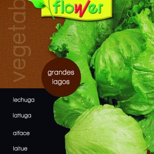 Lechuga grandes lagos