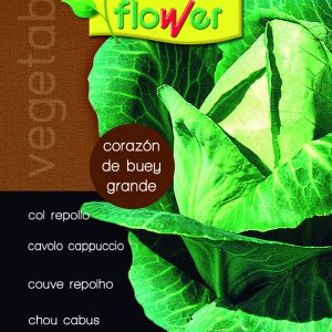 Col repollo corazón de buey grande