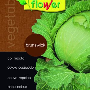 Col repollo Brunswick