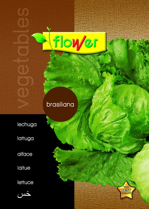 Lechuga brasiliana