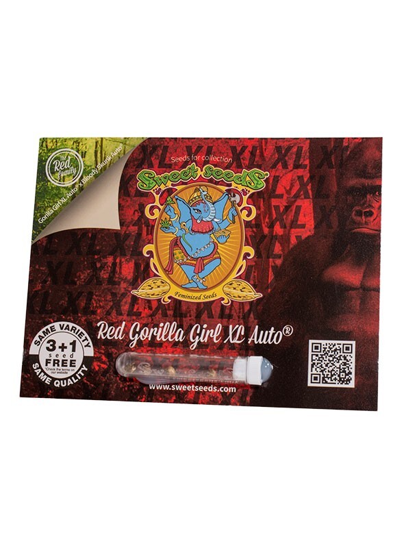 Red gorilla girl xl auto (3+1) sweet seeds